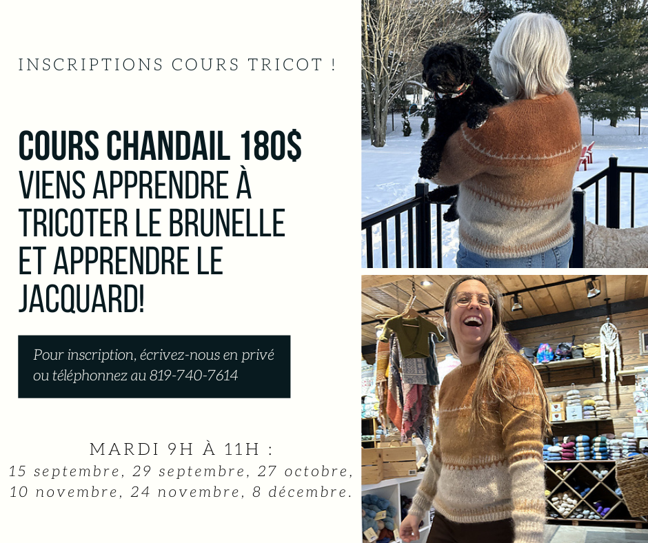 Cours de tricot Brunelle et apprentissage du jacquard